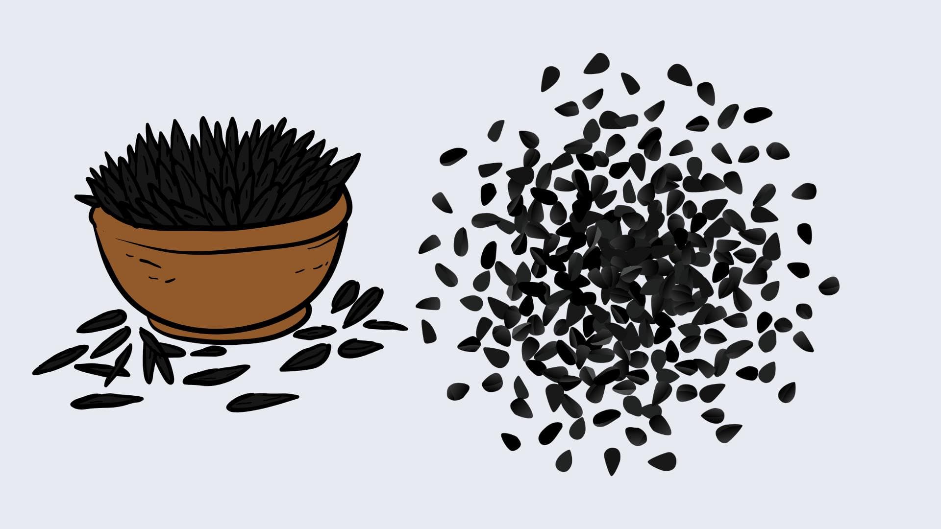 Çörek Otu Nedir? Faydaları Nelerdir?