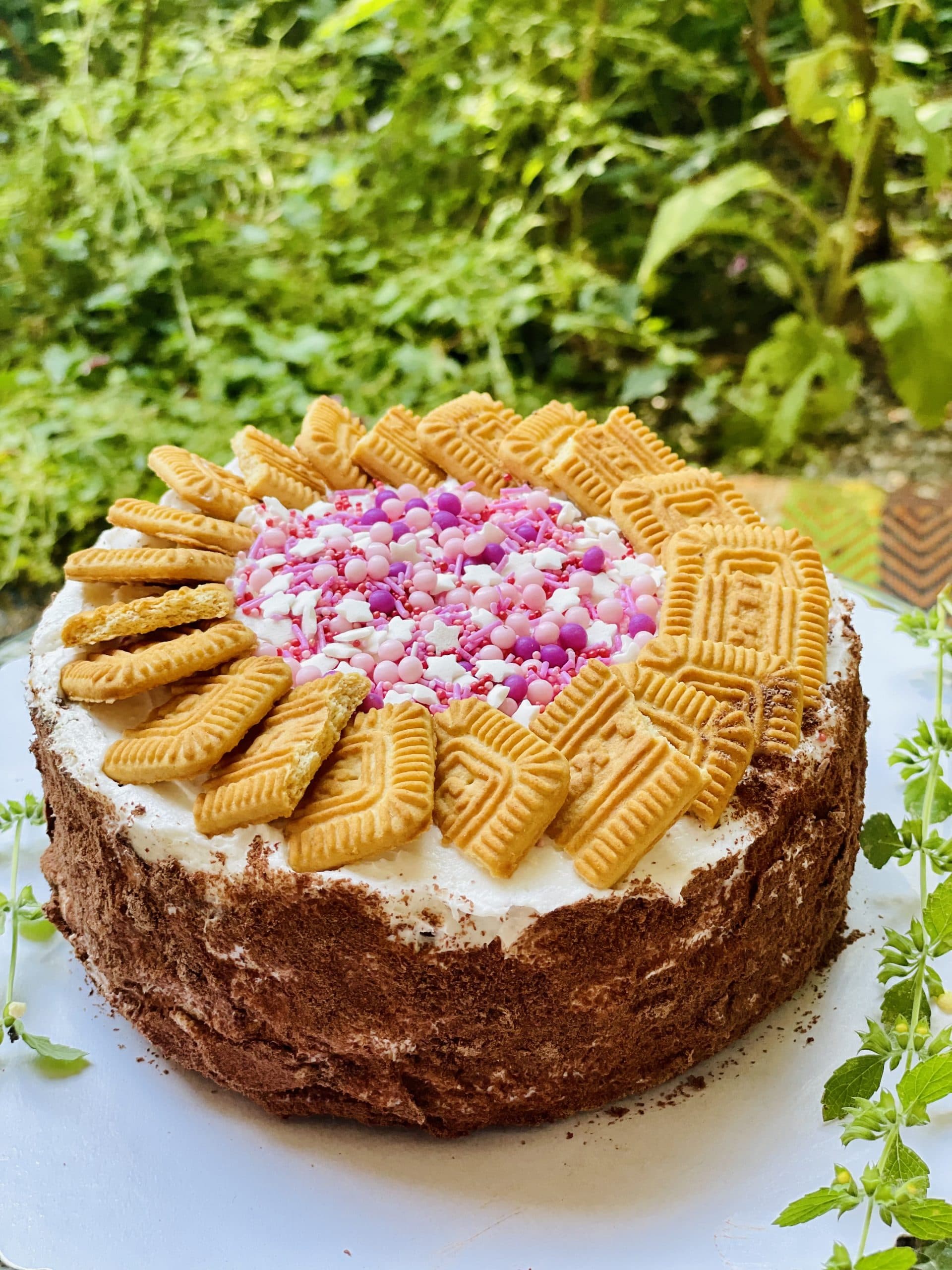 Bisküvili Kakaolu Pasta