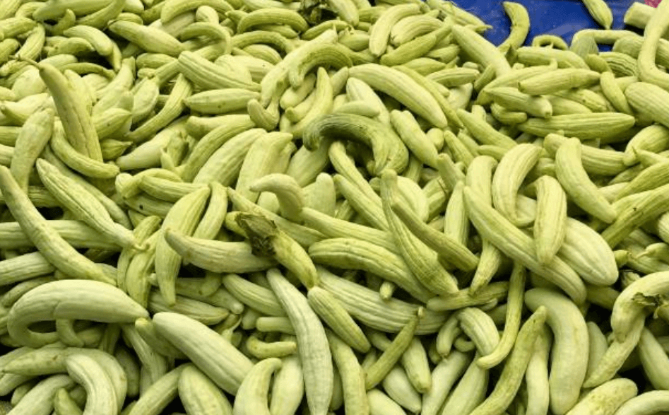 Acur: Sağlıklı ve Serinletici Bir Sebze