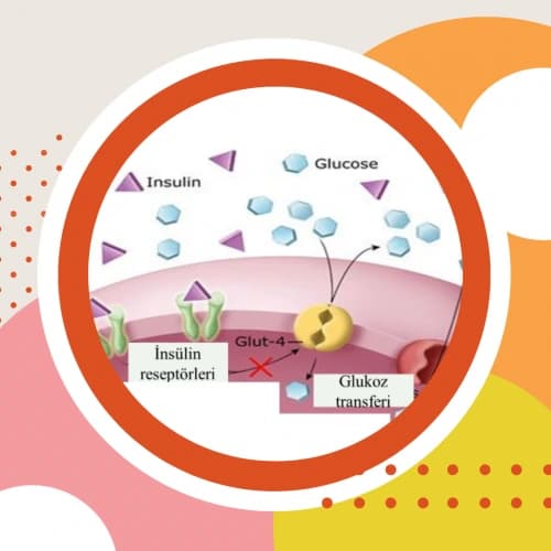 İnsülin Direncinde Yapılan 5 Yaygın Hata