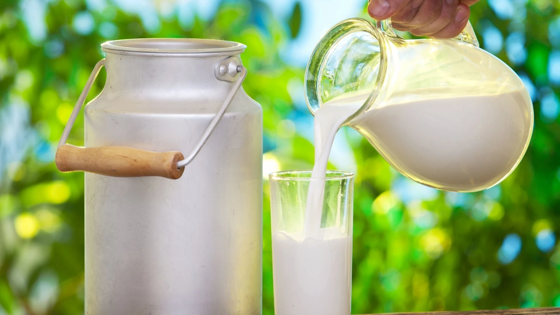 Sütün Bozulduğu Nasıl Anlaşılır? Bozuk Süt Belirtileri ve Saklama Yöntemleri - Sutun Bozuldugu Nasil Anlasilir 1